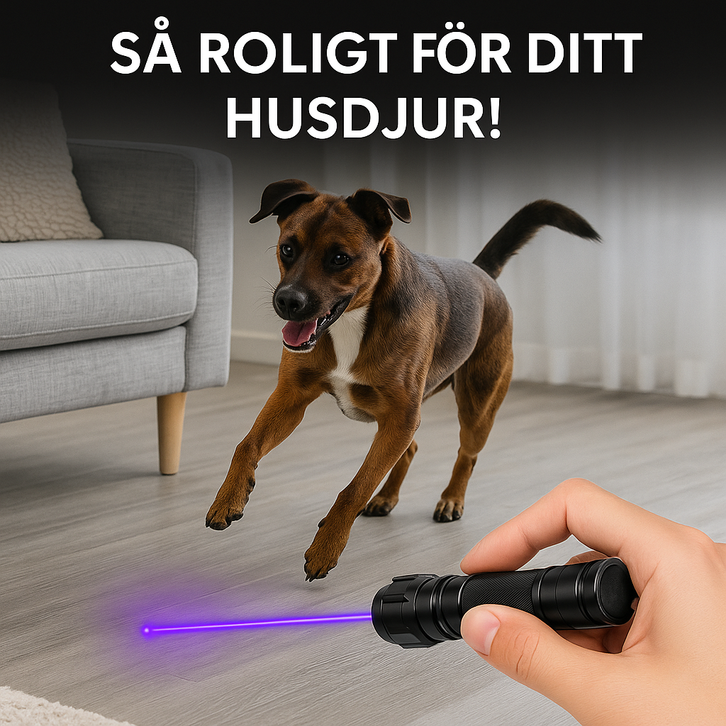 Hund som leker med laser från Laserpekare PRO – motion och mental stimulans.